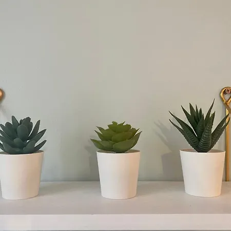 Le 202 Renove Au Coeur De דירה רואן