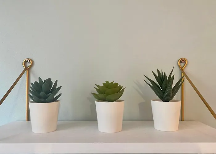 Le 202 Renove Au Coeur De דירה רואן