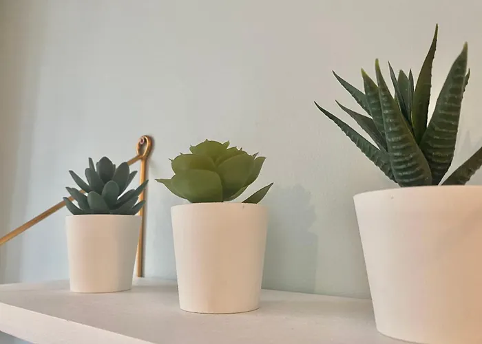 דירה Le 202 Renove Au Coeur De